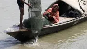 যমুনা নদীতে মাছ শিকারে ব্যস্ত জেলে দম্পতি