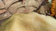 নওগাঁ-নাটোর মহাসড়কে গণডাকাতি, আটক যানবাহন