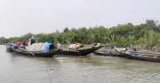 সুন্দরবনে বনকর্মীর গুলিতে জেলে নিহত, বন অফিসে হামলা
