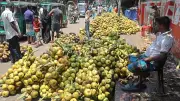 ফুটপাত ও সড়কে কাঁচা তালের বেচাকেনা