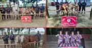 চাঁপাইনবাবগঞ্জে বিজিবির অভিযানে ৩৫ বোতল মদ ও ১৪ গরু জব্দ