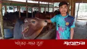 দুর্গম পাহাড়ে বেকারত্ব জয় করে সফল খামারি আছোমং মারমা