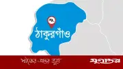 ঠাকুরগাঁওয়ে পৃথক দুর্ঘটনায় শিশুসহ ২ জনের মৃত্যু