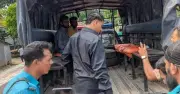 টঙ্গীতে ছাত্রলীগের ঝটিকা মিছিল, আটক ৪