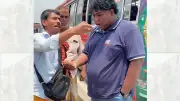 ভাইরাল ‘রাগ করলা?’ সংলাপের পিছনে আসল সত্য