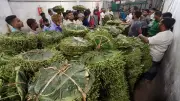 টরকীর পানের হাট: গ্রামীণ অর্থনীতির চাকা সচল রাখা ঐতিহ্যবাহী বাজার