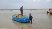 বোরো ধান কাটায় সংকট: ক্ষতি পুষিয়ে নিতে জরুরি পদক্ষেপ