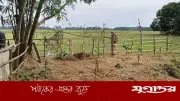বড়লেখায় অর্ধশত বছরের পুরোনো রাস্তা বন্ধের অভিযোগ, দুর্ভোগে ৫ পরিবার