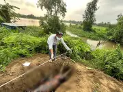 হালদা নদী থেকে আরেক ডলফিনের মরদেহ উদ্ধার, উদ্বেগ বাড়ছে