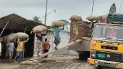 হাওরের ধানের রং নষ্ট, কৃষকদের বিপাকে বিক্রি