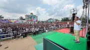 স্থানীয় নির্বাচন সামনে রেখে বিএনপির কৌশলগত উদ্বেগ ও প্রস্তুতি