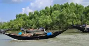 সুন্দরবনে ট্রলারসহ ১২ জেলেকে অপহরণ করল বনদস্যু জাহাঙ্গীর বাহিনী