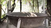 বাংলাদেশের শীর্ষ খবর: হাতির কড়াই থেকে বাজেট পর্যন্ত
