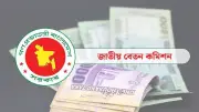 সরকারি চাকরিজীবীদের বেতন কত বাড়ছে? জানা গেল নতুন তথ্য