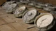 আড়াই কোটি ক্যাপ্টাগন ট্যাবলেট জব্দ, হাতিরঝিলে হেরোইন মামলায় যাবজ্জীবন