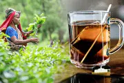 বাংলাদেশের নতুন শিক্ষাক্রম বাস্তবায়নে চ্যালেঞ্জ ও সম্ভাবনা