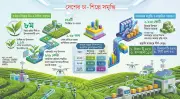 বাংলাদেশের চা বাজারে প্রতিযোগিতা ও ভোক্তার রুচির পরিবর্তন