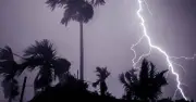 নওগাঁর রাণীনগরে বজ্রপাতে তিনজনের মৃত্যু