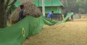 নওগাঁয় ব্রাজিল-আর্জেন্টিনা সমর্থকদের ভ্রাতৃত্বের নজির, বানালেন ৪০০ ফুট পতাকা