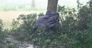 গফরগাঁওয়ে গাছের সাথে বাঁধা অবস্থায় মাথাবিহীন লাশ উদ্ধার
