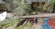 মাদারগঞ্জে কালবৈশাখী ঝড়ে ৪০ এলাকায় ২৪ ঘণ্টা বিদ্যুৎবিচ্ছিন্ন