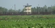 পাটগ্রাম সীমান্তে ভারতীয় চোরাকারবারিদের লক্ষ্য করে বিজিবির ফাঁকা গুলি