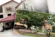 ভিডিওতে বাংলাদেশের নতুন দিগন্ত