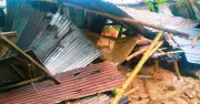 শেরপুরে ঝড়ে গাছচাপায় এক বৃদ্ধার মৃত্যু, ব্যাপক ক্ষয়ক্ষতি