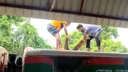 কুষ্টিয়ায় ট্রেনের ছাদে যুবকের রক্তাক্ত মরদেহ উদ্ধার