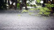 ৪ অঞ্চলে ঝড়-বৃষ্টির সতর্কতা, সরকারি চাকরিজীবীদের শেষ কর্মদিবস আজ