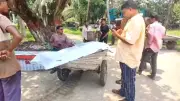 নলছিটিতে ট্রলি উল্টে মালিকের মৃত্যু, ৩০ বছরেও মেলেনি সমাধান
