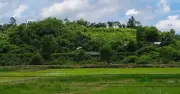 ঘুমধুম সীমান্তে মাইন বিস্ফোরণে তিনজন নিহত