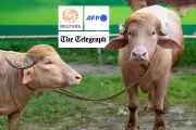 আন্তর্জাতিক ভিডিও: বিশ্বজুড়ে গুরুত্বপূর্ণ ঘটনা