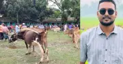 কলেজ মাঠে পশুর হাট বসানোর অভিযোগ, তালা ভাঙার ঘটনা তদন্তের নির্দেশ