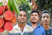 বাংলাদেশের নতুন শিক্ষানীতি অনুমোদন