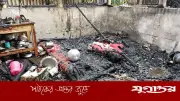 গাজীপুরে অগ্নিকাণ্ডে ১১ ভাড়াটিয়ার সবকিছু পুড়ে ছাই