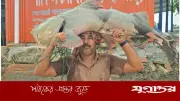 পদ্মায় ৩৪ কেজির বাঘাইড় মাছ ৬৩ হাজার টাকায় বিক্রি