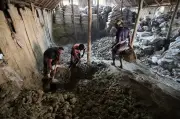 খালের পাড়ে লবণ তৈরির কারখানা: ঐতিহ্যবাহী পদ্ধতিতে লবণ উৎপাদন