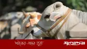 ইসলামে পশু জবাইয়ের নিয়ম ও দোয়া: বিস্তারিত নির্দেশনা