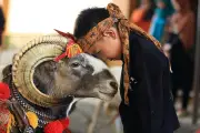 কোরবানির সওয়াব পাওয়ার দুটি আমল: চুল-নখ না কাটা ও জুমায় আগে যাওয়া