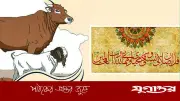 কুরবানির পশু জবাইয়ের সুন্নতি পদ্ধতি ও দোয়া: নবীজির (সা.) শিক্ষা