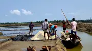 কক্সবাজারে লবণ উৎপাদন কমেছে, খরচ বেড়ে লোকসানে চাষিরা