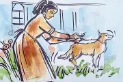 ফাগুনের আগুনে রাঙা লাল পলাশের দেশে কবিতার মেলা