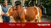 কুরবানির পশুর পা ভেঙে গেলে করণীয় কী