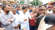 ঈদুল আজহায় দেশে প্রায় ১ কোটি পশু কোরবানির সম্ভাবনা