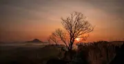 ভাজাকুলাম: ভারতের মিষ্টি আনারস রাজধানী