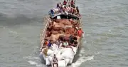 ঋণ থাকলেও কোরবানি ওয়াজিব হতে পারে, জানুন শর্ত
