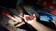বাজারের মেহেদিতে পিপিডি: ক্ষতিকর উপাদান ও সতর্কতা