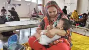 পদ্মা সেতুতে টোল রেকর্ড, গাজায় হামাস নেতা নিহত, বিএনপির ১০০ দিন