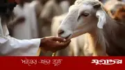 জীবনের গতি কমিয়ে আধ্যাত্মিকতার সন্ধান